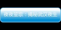 夜夜笙歌：揭秘武汉夜生活论坛背后的文化与社交风貌