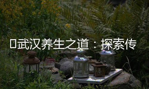 武汉品茶网：探寻茶叶，探索身心的平静